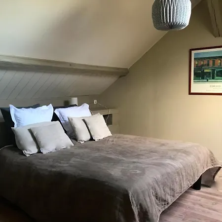 Appartement Le Loft De La Cour Sainte Catherine
